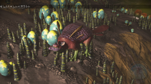 U. Ephemofifae