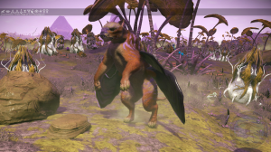 D. Herbvisooe